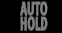 Volkswagen ID.4 auto hold active indicator icon